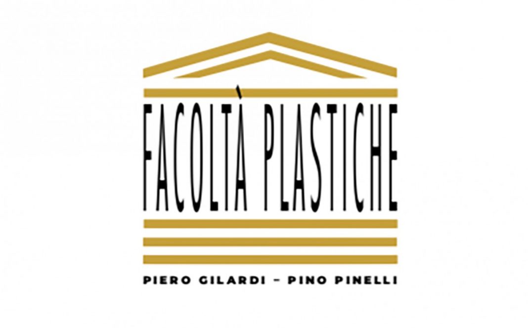 Facoltà plastichehttps://www.exibart.com/repository/media/formidable/11/img/614/Copertina_catalogo_copia_1682356154-1068x664.jpg