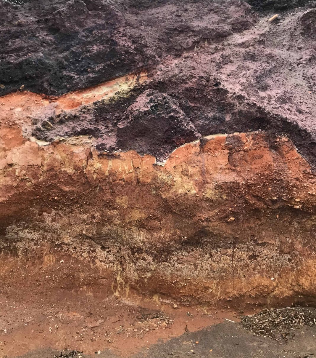 Alessandro Piangiamore – Frangifluttihttps://www.exibart.com/repository/media/formidable/11/img/624/Alessandro-Piangiamore_Frangiflutti_IMG-8462-1068x1208.jpg