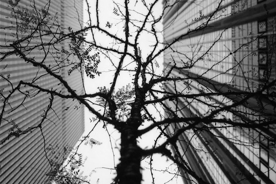 LIGHT & DARKNESShttps://www.exibart.com/repository/media/formidable/11/img/62c/Mostra-Light__darkness-1068x712.jpg