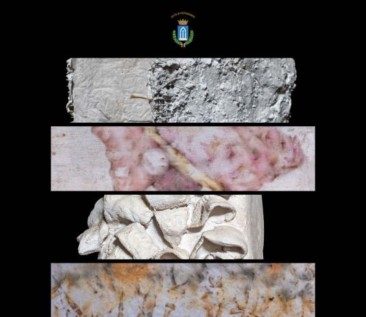 Floriana Gerosa / Barbara Visciano – Doppia Essenza