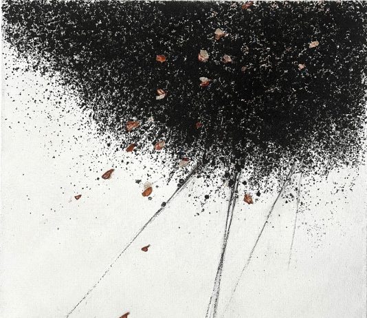 Claudio Sapienza – Il Respiro della Terra