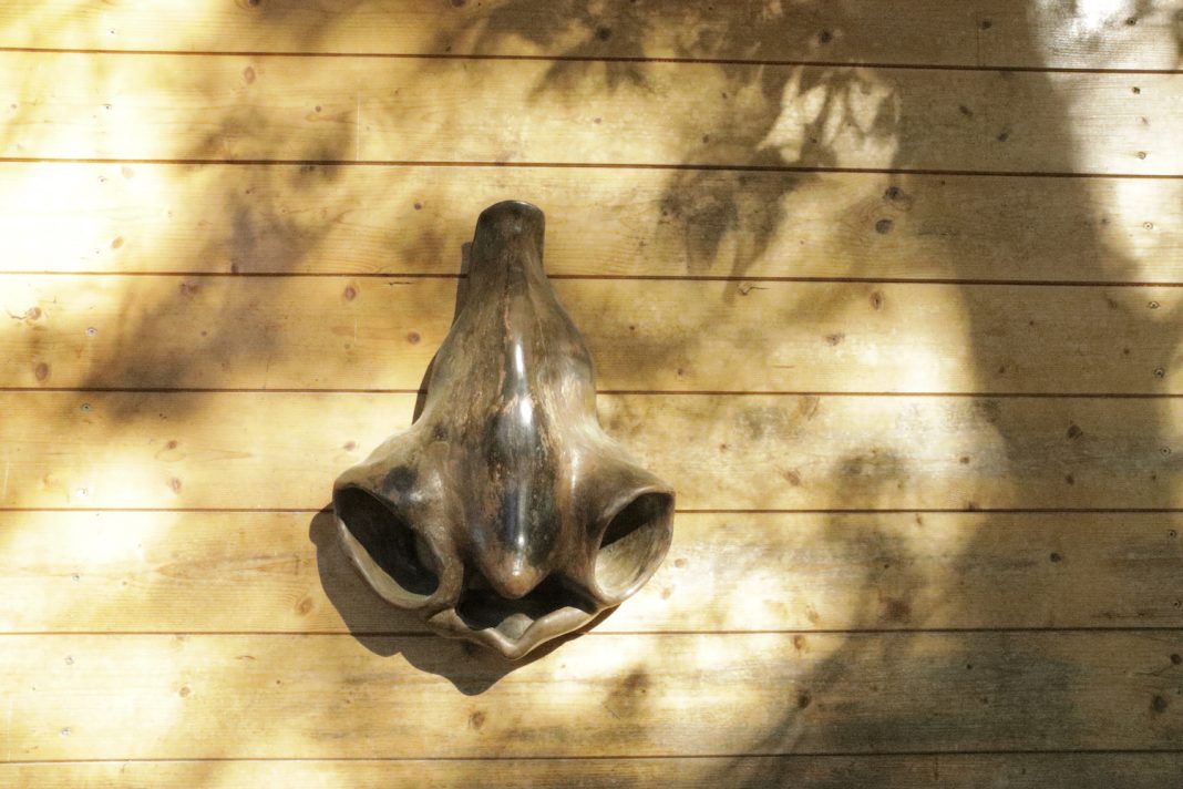 Respiro – Arte nell’aria del boscohttps://www.exibart.com/repository/media/formidable/11/img/674/naso_sculturafotodiIsabelRodriguezRamos_Respiro2026--1068x712.jpeg