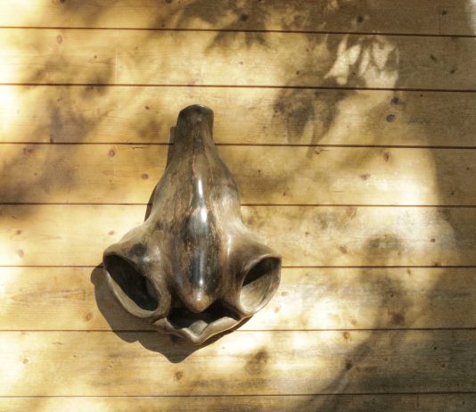 Respiro – Arte nell’aria del bosco