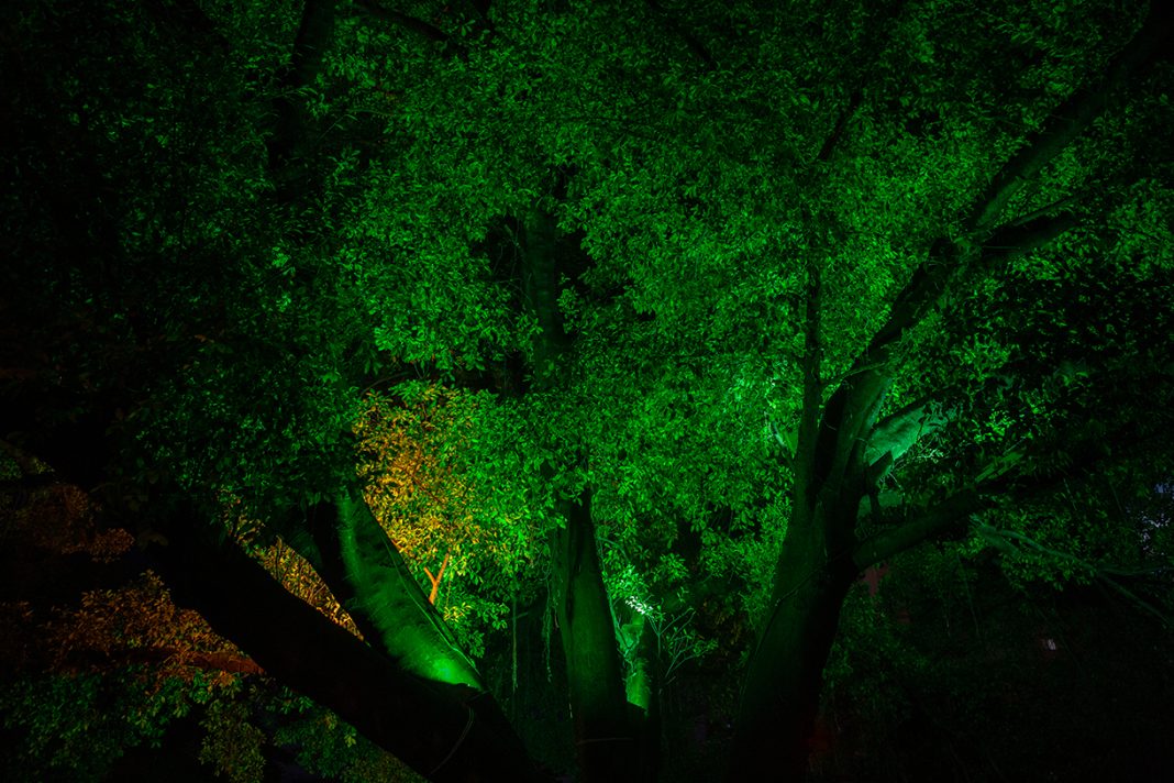 Mostra – Family Lifehttps://www.exibart.com/repository/media/formidable/11/img/683/lm_I8A1851-1068x712.jpg