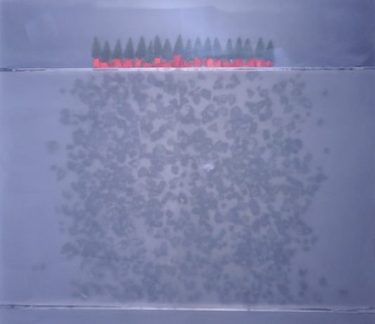 Podocatharus  – Scolpire la poesia. La perfezione del nero