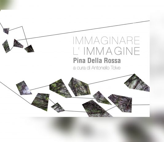 Immaginare l’immagine Immaginare l’immagine