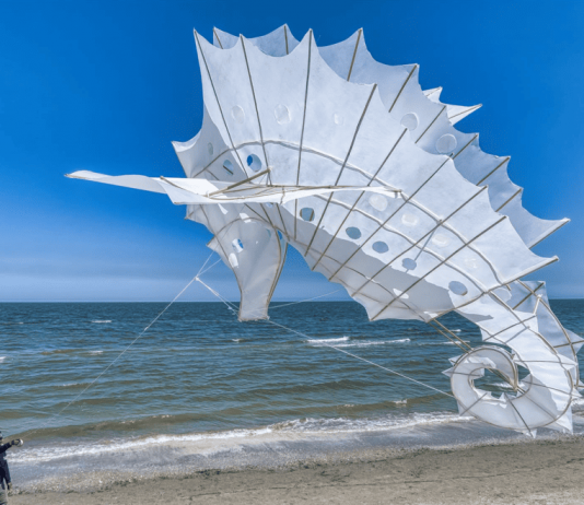 Artevento – Festival Internazionale dell’Aquilone