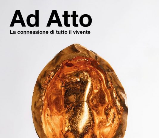 Ad Atto, la connessione di tutto il vivente Ad Atto, la connessione di tutto il vivente