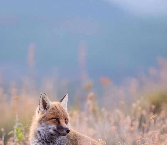 Etna – Un vulcano di emozioni