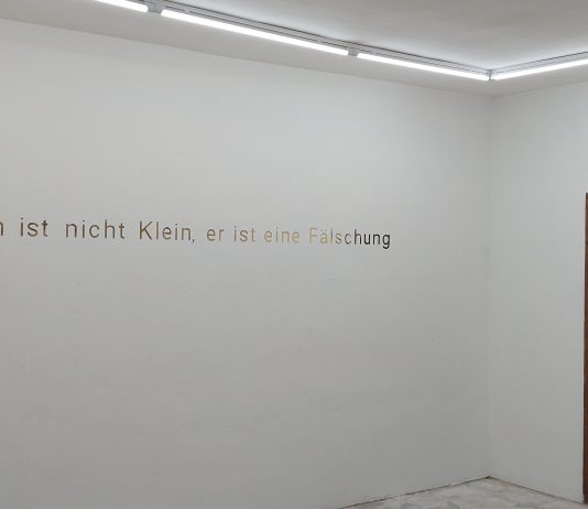 Enrico Michieletto – Dieser Raum ist nicht Klein, er ist eine Fälschung