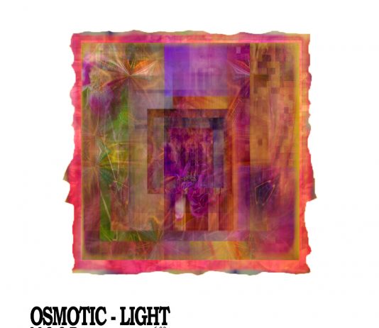 M. O. O. R. (Gianluca Balocco) – Osmotic Light