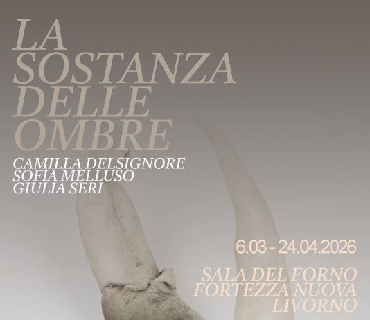 La sostanza delle ombre La sostanza delle ombre