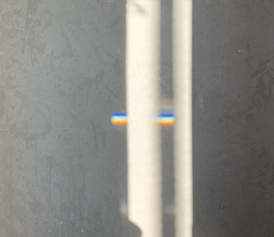 Linda Carrara – Il punto focale