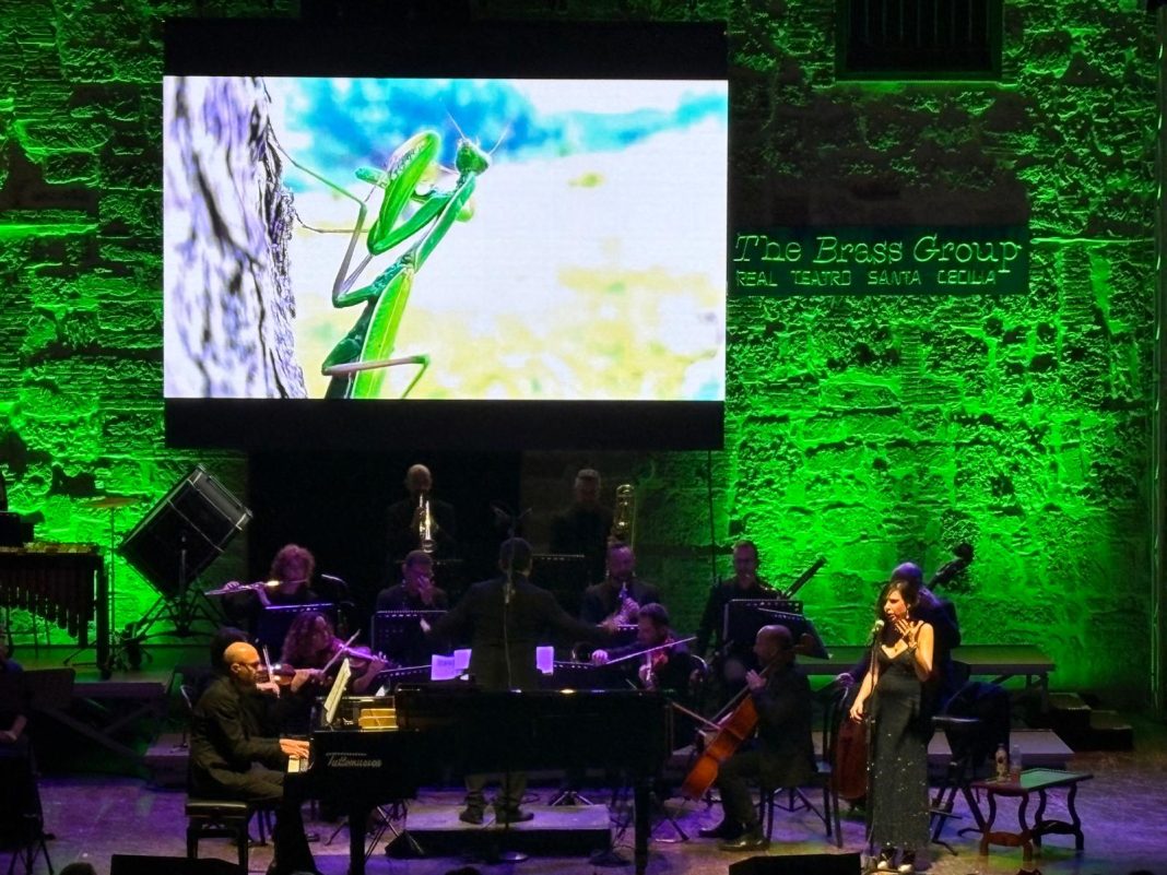 BIOSPHERA musica, parole e immagini tra estetica, arte e biodiversitàhttps://www.exibart.com/repository/media/formidable/11/img/6bf/CARISMATICO-1068x801.jpg