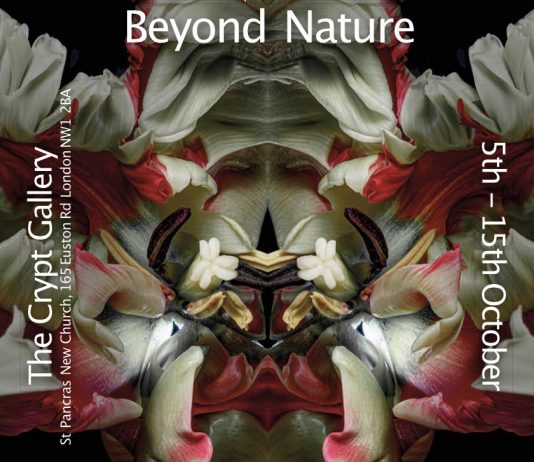 JEFF ROBB – BEYOND NATURE