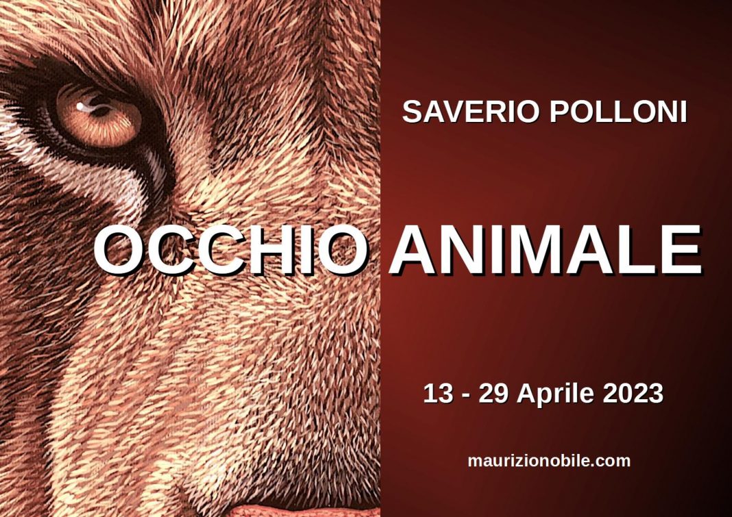 Saverio Polloni – Occhio animalehttps://www.exibart.com/repository/media/formidable/11/img/6cd/polloni-1068x755.jpg