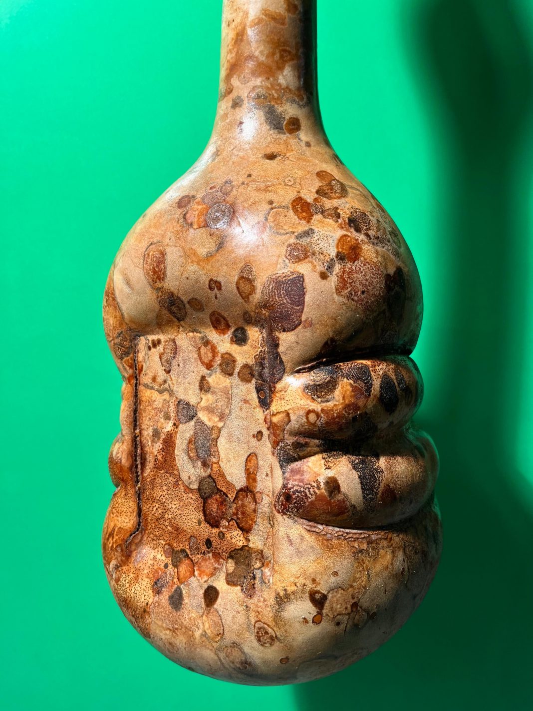 Ivana Adaime Makac – Tight Bondshttps://www.exibart.com/repository/media/formidable/11/img/6d3/Ivana-Adaime-Makac-Thight-Bonds-Courtesy-the-artist-WIZARD-LAB-1-1068x1424.jpg