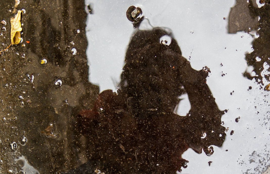 Luciana Lamothe – Folding Roadshttps://www.exibart.com/repository/media/formidable/11/img/6d9/L.-Lamothe-Retrato-borde-1-2022-80-x-60-x-3-cm-Inkjet-printing-on-RagMatt-310g-paper-1068x689.jpg