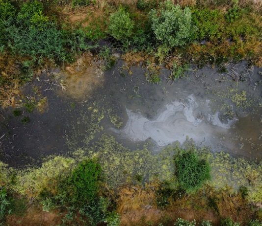 Appaludare / Farsi Palude