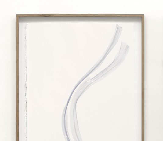 Beatrice Pediconi / Ennio Tamburi – Velo d’acqua