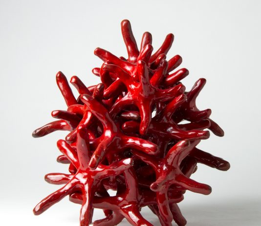 Andrea Viviani – Stagioni