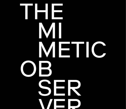 The mimetic observer, a visual reading on Dante’s Divine Comedy