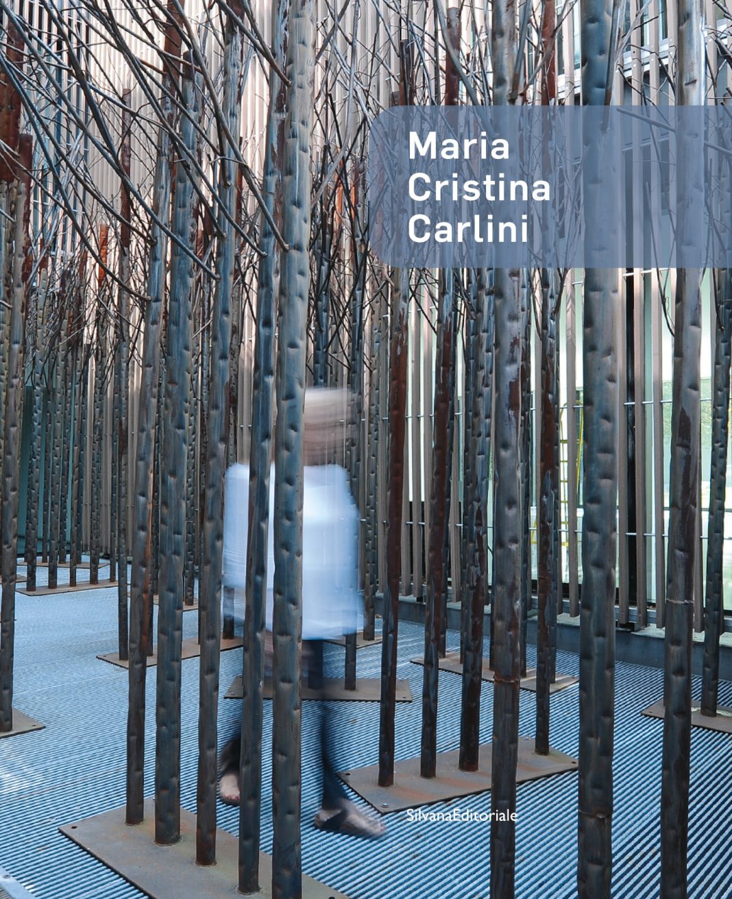 Maria Cristina Carlini – Storia di una scultricehttps://www.exibart.com/repository/media/formidable/11/img/703/Copertina-Libro_-1068x1312.jpg