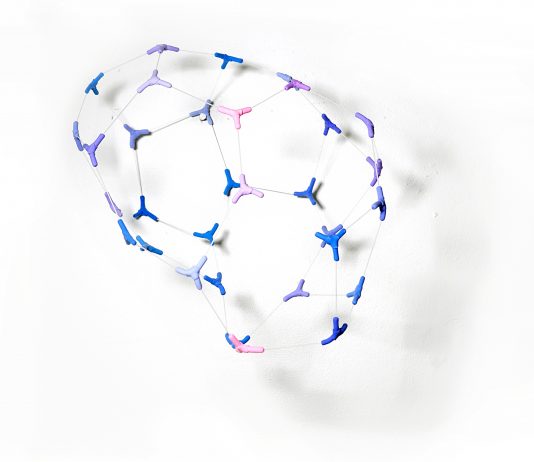 Francesco Damiani – A fior di pelle