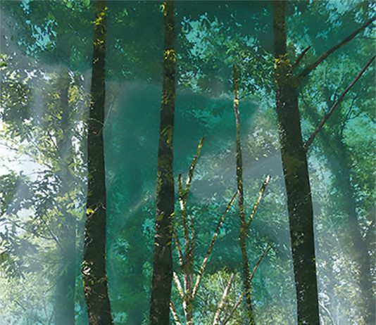 Sèline – I santuari della natura – La sacralità degli alberi del bosco nell’arte di Séline