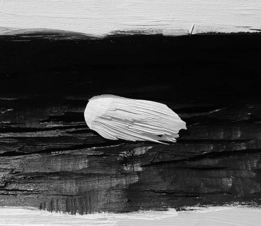 Paolo Di Capua – Ad esempio