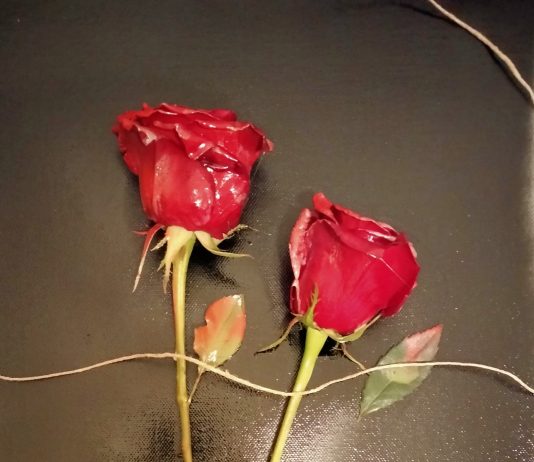 Gianluca Baggio Gianluca Baggio