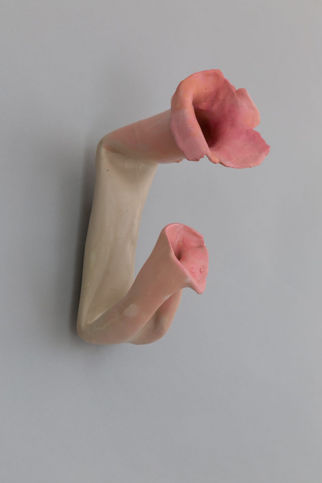 Agnès Pezeu – À fleur de peauhttps://www.exibart.com/repository/media/formidable/11/img/72b/à-fleur-22-sur-48-1068x1602.jpg