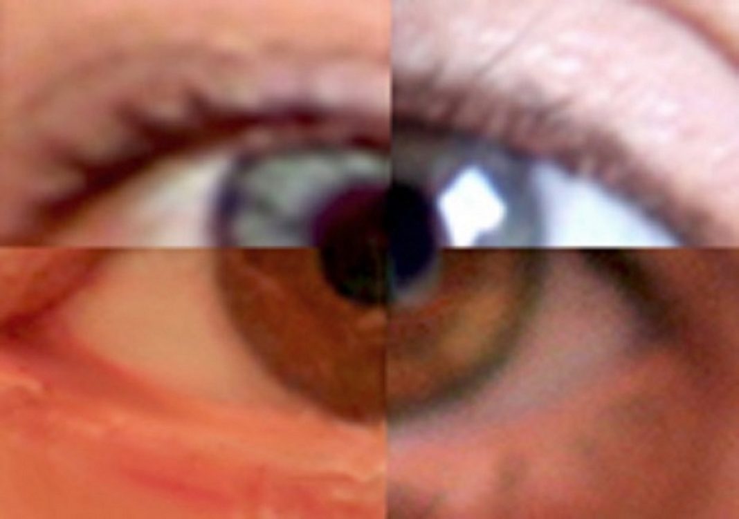 L’arte della coesionehttps://www.exibart.com/repository/media/formidable/11/img/72d/gruppo-e_qui--1068x751.jpg