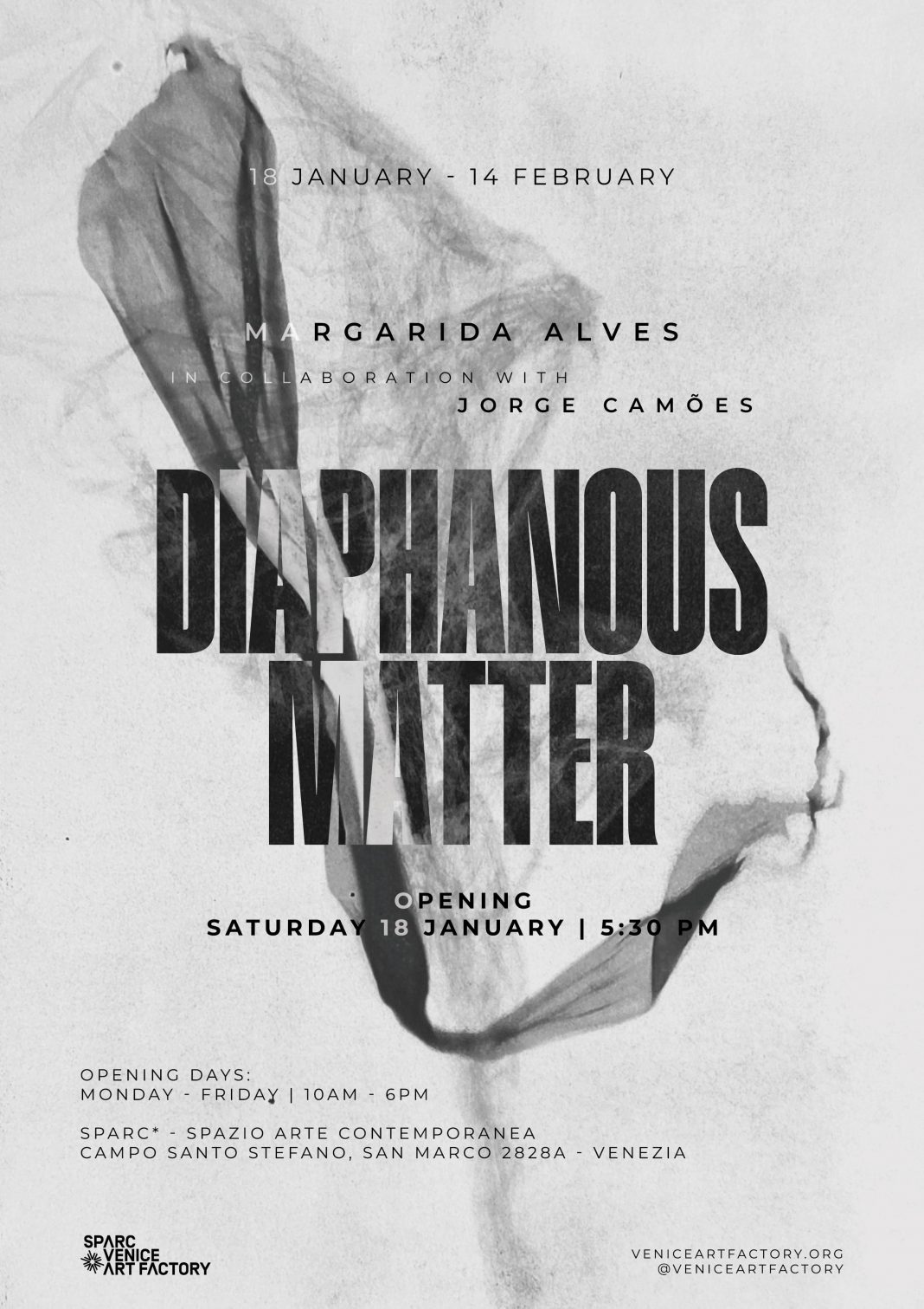 MARGARIDA ALVES – DIAPHANOUS MATTERhttps://www.exibart.com/repository/media/formidable/11/img/73d/Diaphanous-Matter-Digital-invitation-1068x1511.jpg