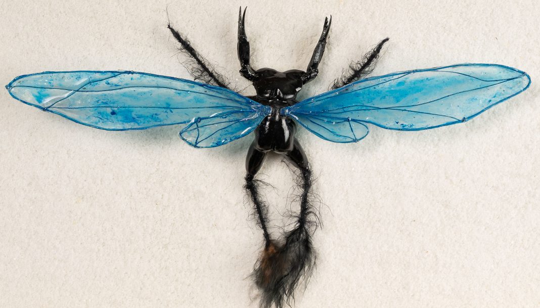 Noemi Priolo – ERBALUCEhttps://www.exibart.com/repository/media/formidable/11/img/743/Noemi-Priolo.Fly-qb-2025-Resin-salt-Mixed-media-Cm-30x60x5-_crediti-Andrea-Rosset-1068x609.jpg