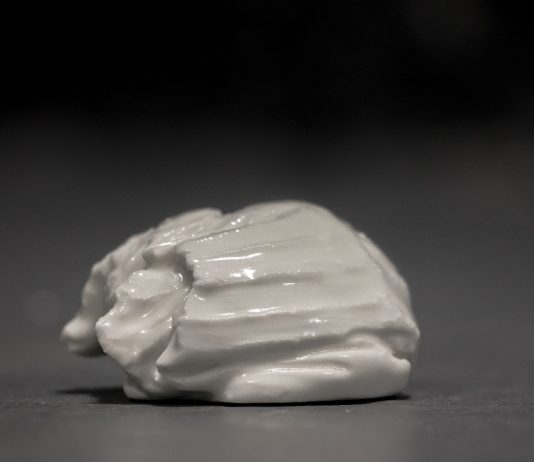 Francesco Bendini – Cingomma