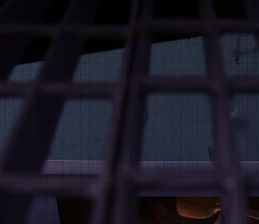 Drawings from the Drawer