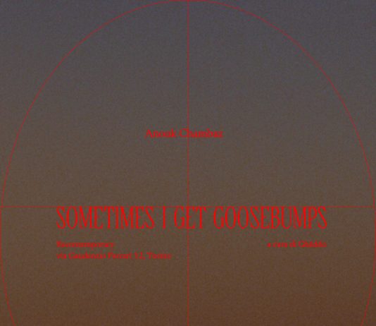 Anouk Chambaz – Sometimes I get goosebumps