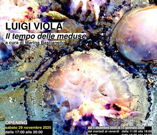 Luigi Viola – Il tempo delle meduse Luigi Viola – Il tempo delle meduse