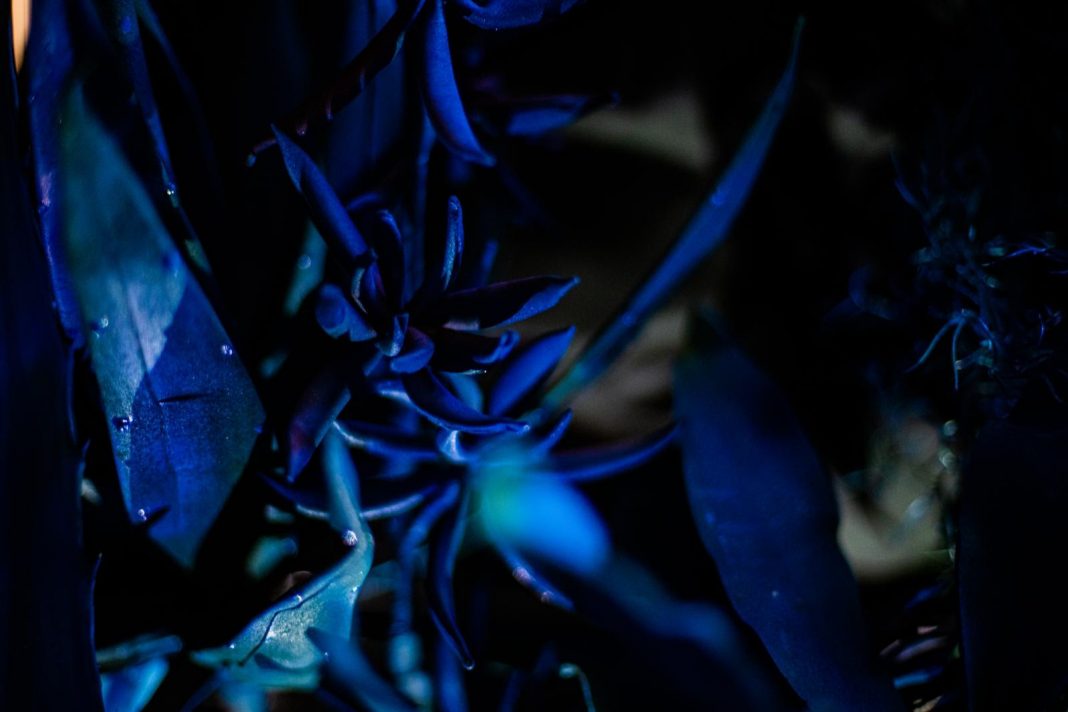 QUANTO RESTA DELLA NOTTEhttps://www.exibart.com/repository/media/formidable/11/img/76c/unnamed-5-1068x712.jpg