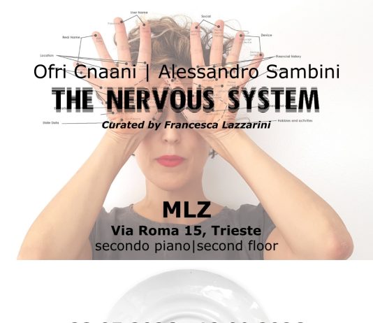 The Nervous System