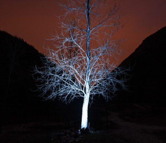 Nazzareno Berton / Sergio Carlesso – RE/LATE