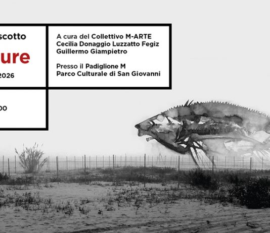 Alessandro Vascotto – Geosuture