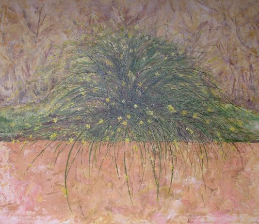 Fiorella Manzini – Viaggio nella Forma verso la Visione