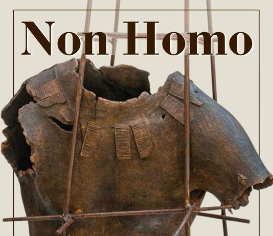 Antonio Taschini – Non Homo Antonio Taschini – Non Homo