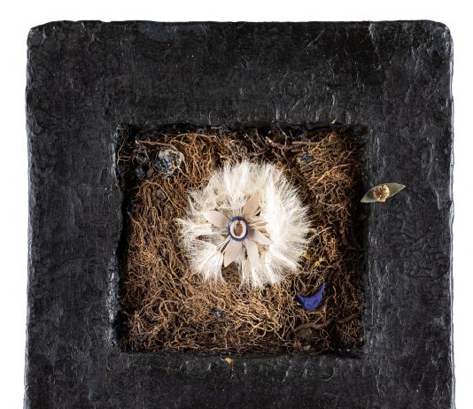 Intelligenze naturali