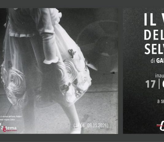 Gabriele Stabile – Il volo dell’oca selvatica