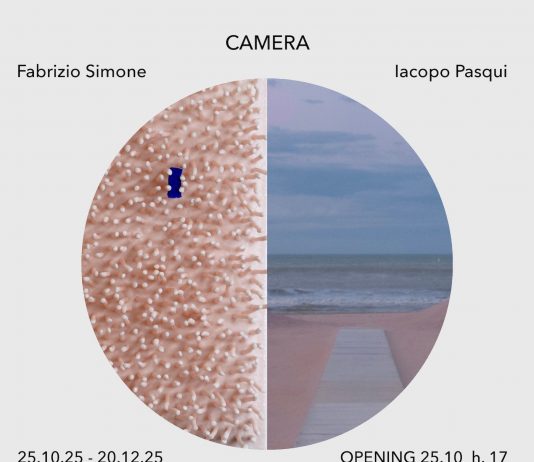 Iacopo Pasqui e Fabrizio Simone – Camera
