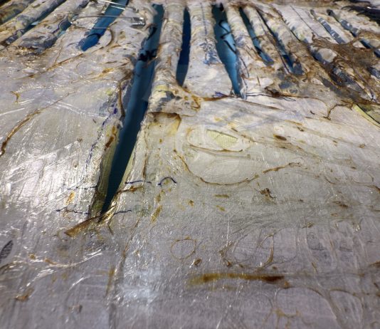 Tha blue cat – Neurodivergent Soul