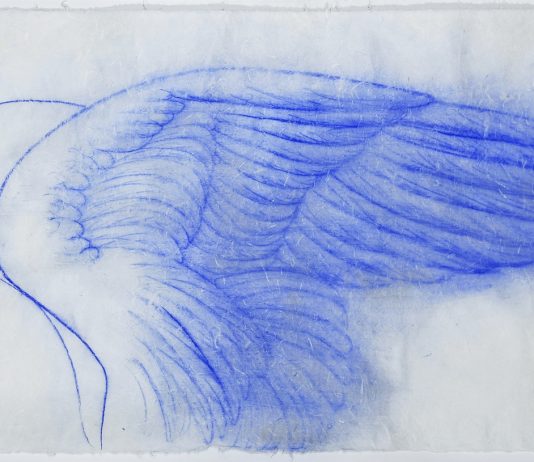 Omar Galliani – Nuovi Angeli, nuove carte Omar Galliani – Nuovi Angeli, nuove carte